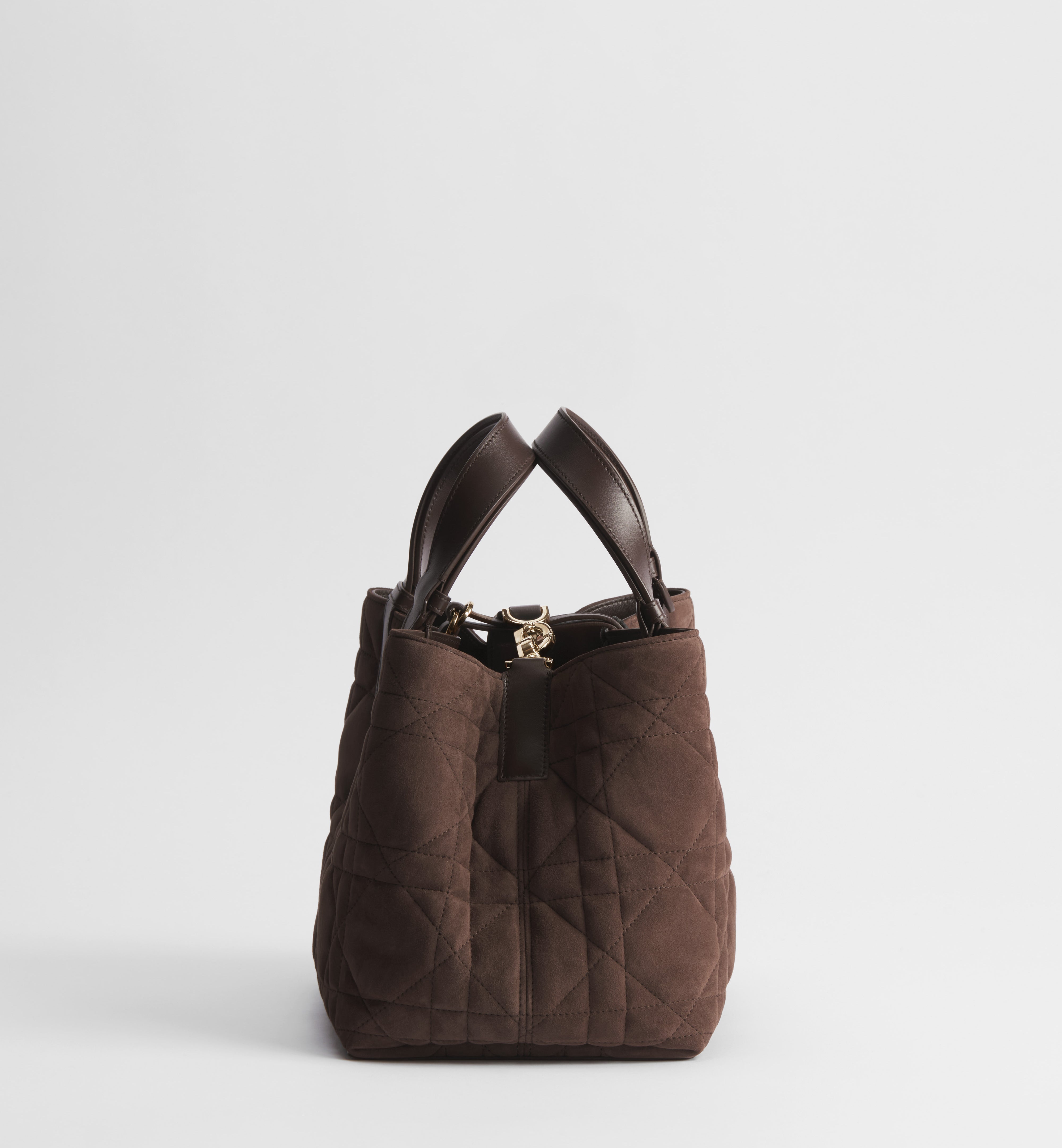 Bolsa Dior Toujours média