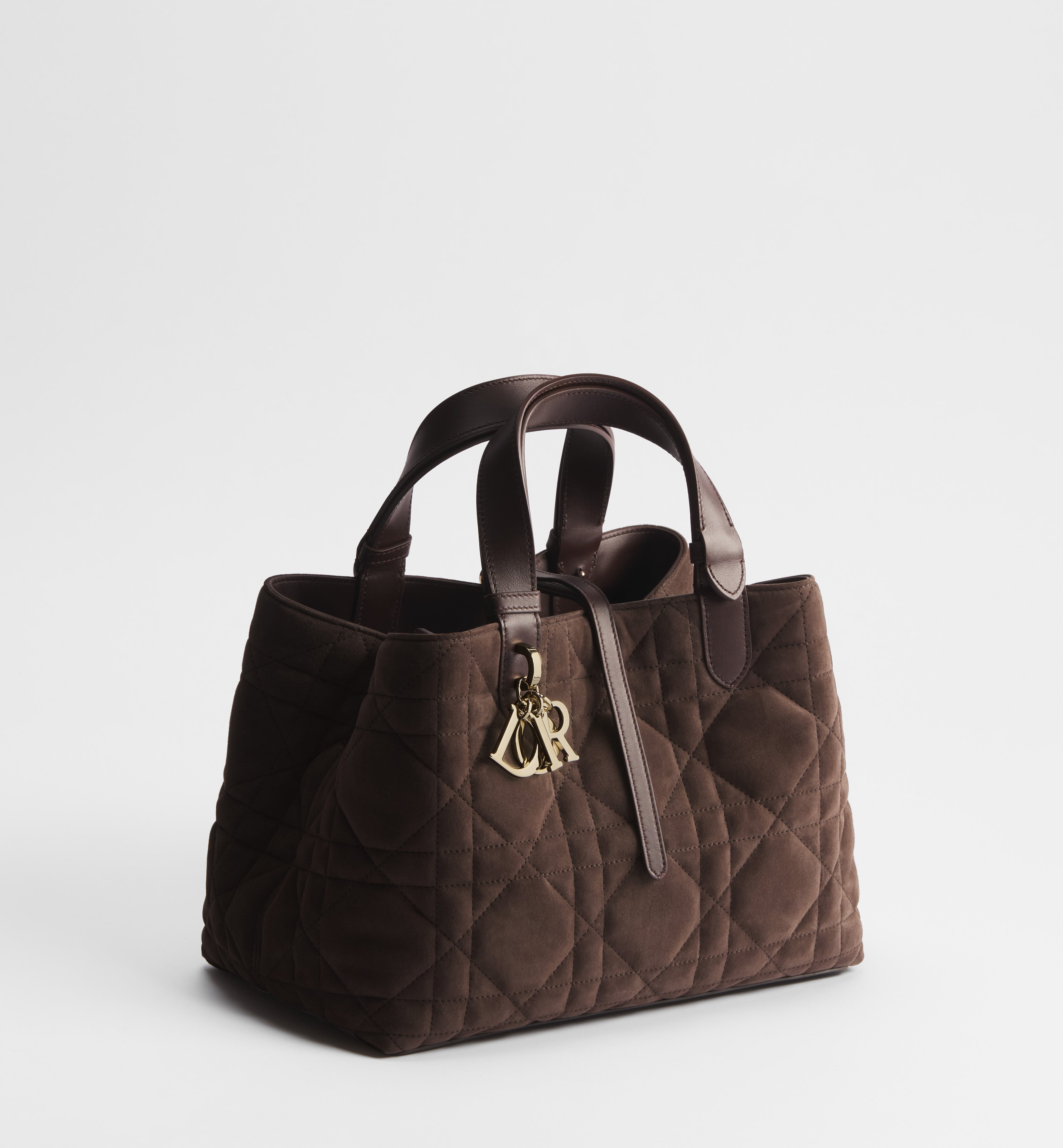 Bolsa Dior Toujours média